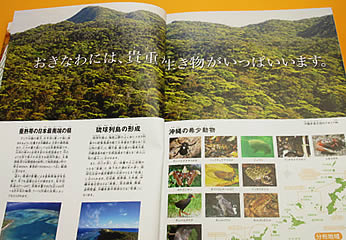 沖縄の希少生物