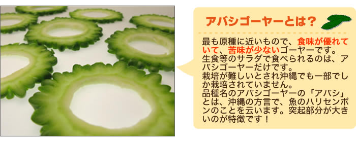 「アバシゴーヤーとは？」最も原種に近いもので、食味が優れていて、苦味が少ないゴーヤーです。栽培が難しいとされ沖縄でも一部でしか栽培されていません。品種名の「アバシゴーヤー」の「アバシ」とは、沖縄の方言で、魚のハリセンボンのことを云います。突起部分が大きいのが特徴です。