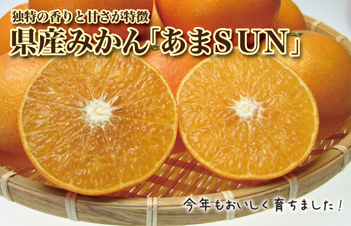独特の香りと果汁たっぷり　沖縄産みかん　あまSUN