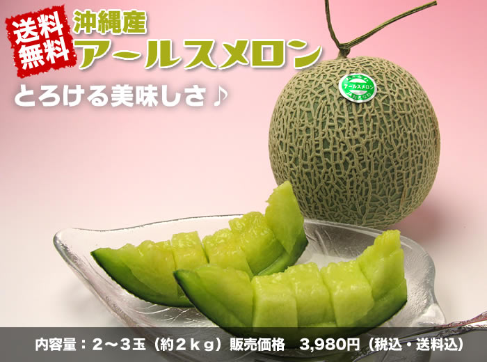 送料無料!沖縄産アールスメロン とろける美味しさ♪内容量:2〜3玉(約2kg)販売価格3,980円(税込・送料込)
