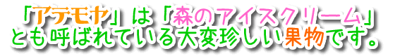 「アテモヤ」は、「森のアイスクリーム」とも呼ばれている大変珍しい果物です。