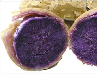 紅芋、紫芋の画像