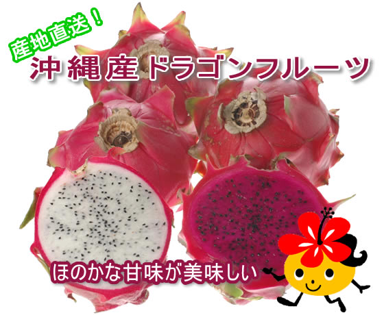 ����ľ�������컺�ɥ饴��ե롼��