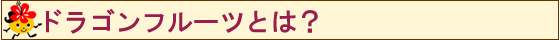 ドラゴンフルーツとは?