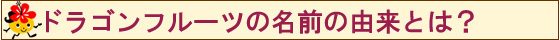 ドラゴンフルーツの名前の由来とは?