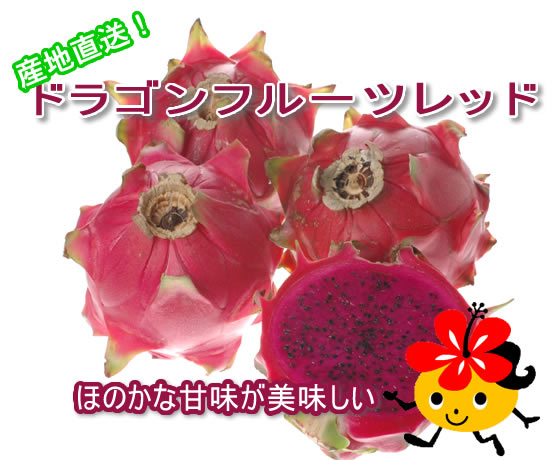 ����ľ�������컺�ɥ饴��ե롼��