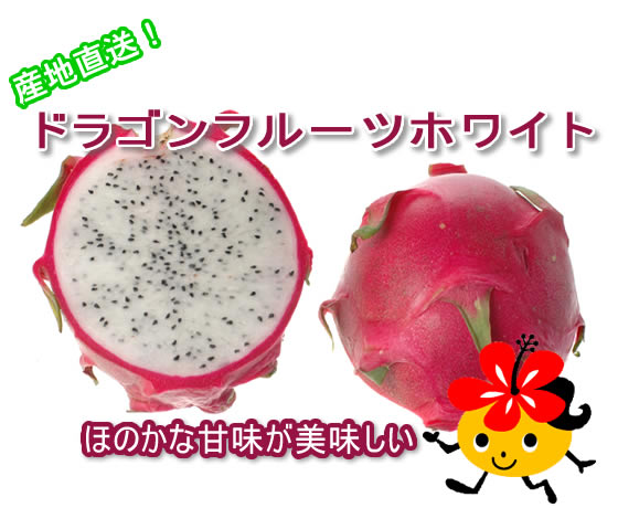 ����ľ�������컺�ɥ饴��ե롼��