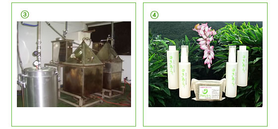月桃水きあら製造工程2