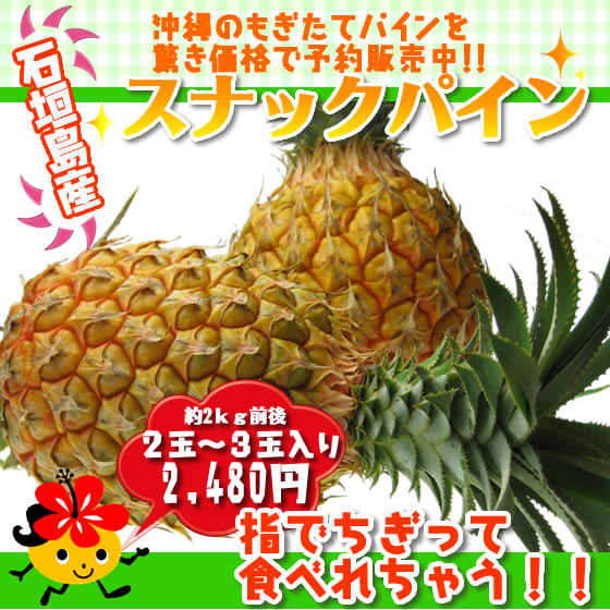 �г��绺�Τ⤮���ƥ��ʥå��ѥ����ä����ʤ������桪�󣲣�������2�̡�3�̡ˤ�2,480�ߡ��ǹ��ˢ��ؤǤ����äƿ��٤���㤦�������ФΥѥ��ʥåץ�Ǥ���