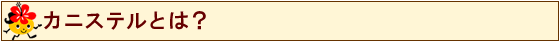 「カニステル」とは？