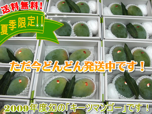 2009年度、幻の「キーツマンゴー」です!送料無料!ただ今どんどん発送中です!