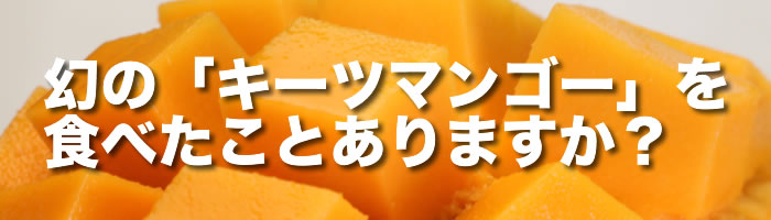 幻の「キーツマンゴー」をたべたことありますか?