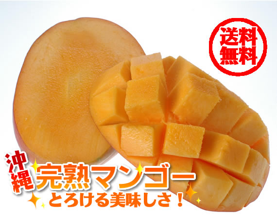 送料無料!沖縄完熟マンゴー!とろける美味しさ!