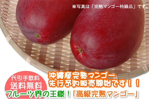 ���컺���ϥޥ󥴡����ͽ�����䳫�ϤǤ���