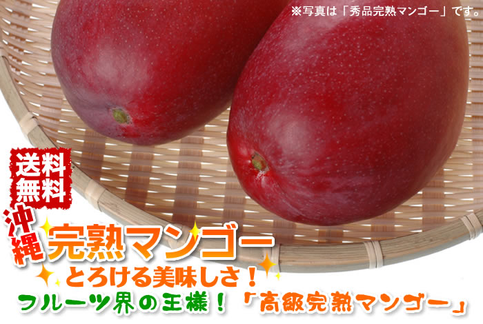 送料＆代引手数料無料！「沖縄産完熟マンゴー」とろける美味しさ！フルーツ界の王様！「高級完熟マンゴー」です。
