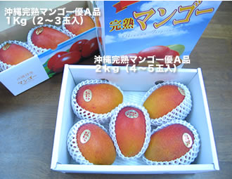 沖縄産完熟マンゴー箱画像