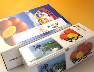 沖縄産完熟マンゴー箱のし付き画像