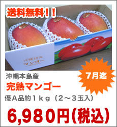 沖縄完熟マンゴー優Ａ品約１kg（２〜３玉入）