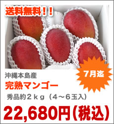 沖縄産完熟マンゴー秀品 約２kg（４〜７玉入）