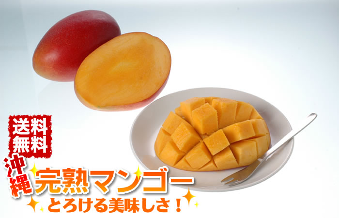 送料無料】沖縄完熟マンゴー（優品）約２Kg（４〜７玉入り） のお取り寄せは琉球本舗