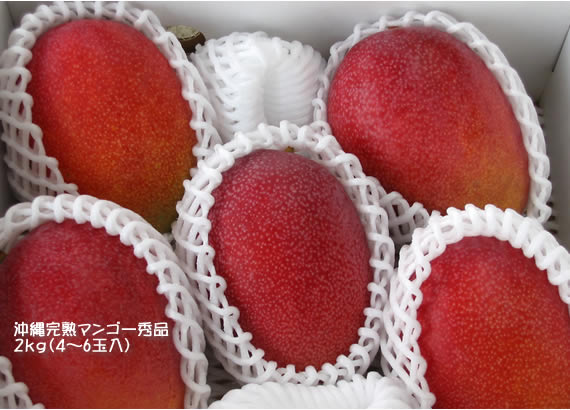 ���촰�ϥޥ󥴡������󣲣��ʣ������������