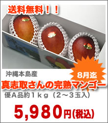 真志取さんの完熟マンゴー約１ｋｇ