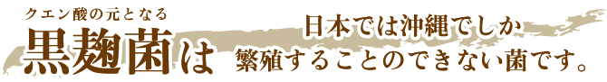 沖縄産のもろみ酢は黒麹菌によって大量のクエン酸がつくられます