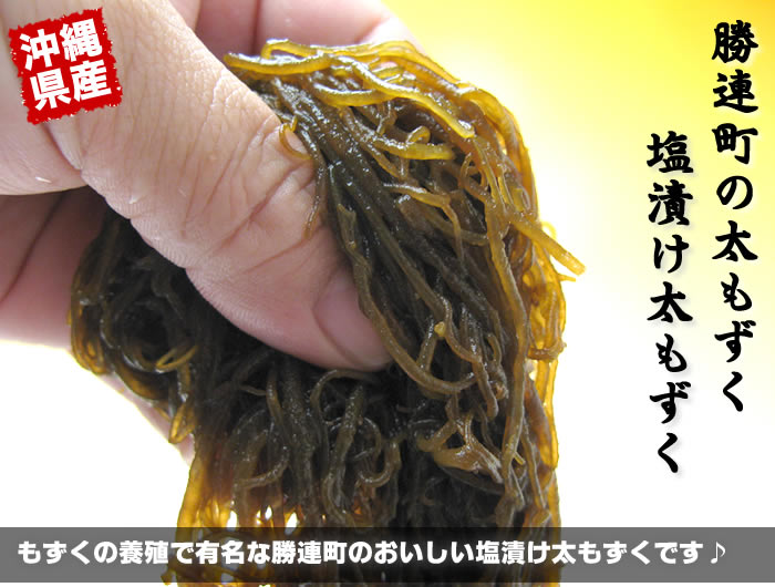 もずく 沖縄 うるまの太もずく 1kg 塩蔵モズク 海市水産 〜 ヘルシー食材 ☆送料無料☆ 当日発送可能