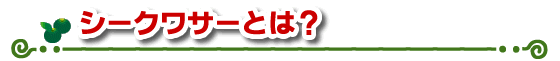 シークワサーとは?