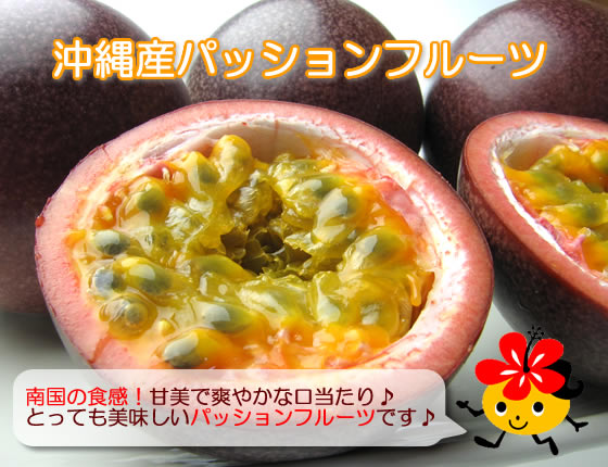 沖縄産パッションフルーツ。南国の食感！甘美で爽やかな口当たり♪とっても美味しいパッションフルーツです。