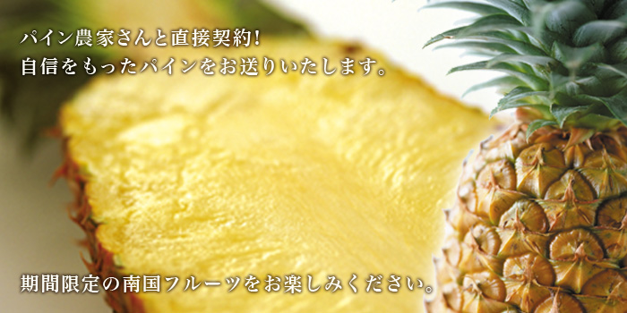 沖縄県産パイナップル