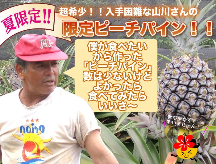 超希少！！入手困難な「山川さんの限定ピーチパイン」今年は限定５０kgのみとなっております！予約数に達し次第終了いたします。お早めに〜！桃の香りがする、甘くて美味しい「ピーチパイン」です。"