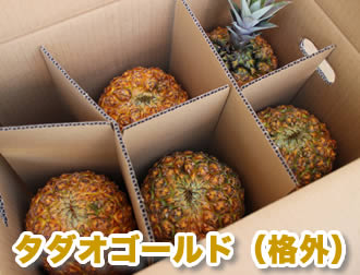タダオゴールド