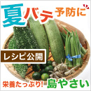 夏バテ防止 栄養満点島野菜
