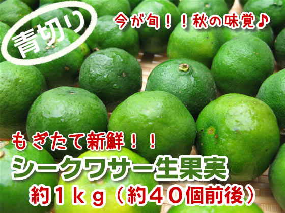 青切りシークワサー生果実約1Kg