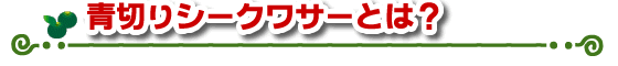 青切りシークワサーとは？