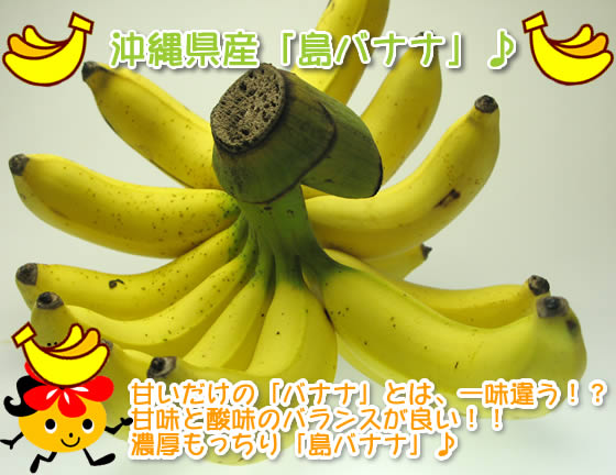 沖縄県産「島バナナ」甘いだけの「バナナ」とは、一味違う！？甘味と酸味のバランスが良い！！濃厚もっちり「島バナナ」♪