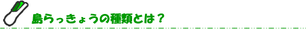 島らっきょうの種類とは？