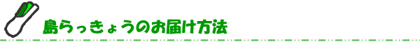 島らっきょうのお届け方法