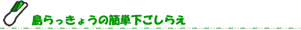 島らっきょうの簡単下ごしらえ