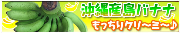 沖縄産島バナナ