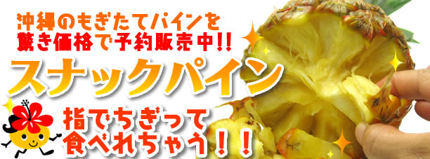 スナックパイン