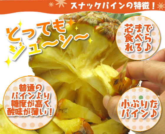 スナックパインの特徴!1.普通のパインより糖度が高く、酸味が薄い!2.芯まで食べられる♪3.小ぶりなパインです。