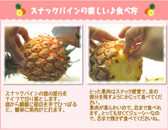 スナックパインの楽しい食べ方♪1.スナックパインの底の部分を
ナイフで切り落とします。底から順番に節目を手でひっぱると、簡単に果肉がとれます。2.とった果肉はスナック感覚で、皮の部分を残すようにかじって食べてください。果肉が柔らかいので、芯まで食べれます。とっても甘くてジューシーなので、芯まで残さず食べてくださいね。