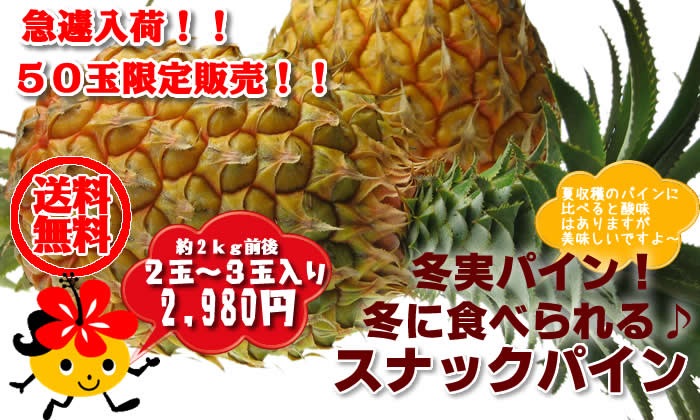 冬実スナックパイン