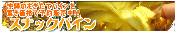 沖縄産スナックパイン