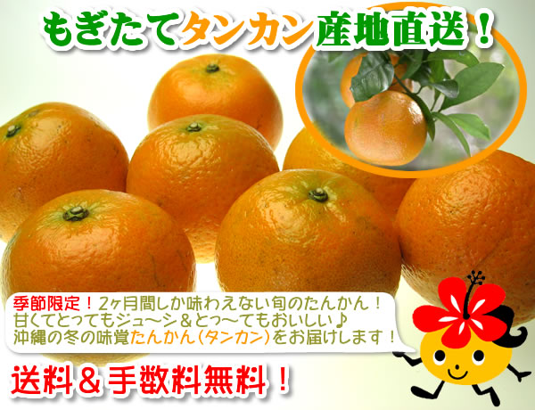 �⤮���ơ����󤫤��줫�黺��ľ����