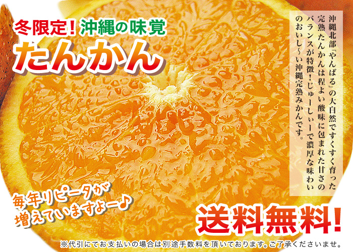 もぎたて「たんかん」沖縄から産地直送！！季節限定！２ヶ月間しかあじわえない旬のたんかん！甘くてとってもジュ〜シー＆とっ〜てもおいしい♪沖縄の冬の味覚たんかん（タンカン）をお届けします！送料無料！！