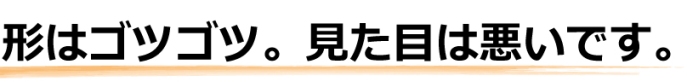 見た目は悪い