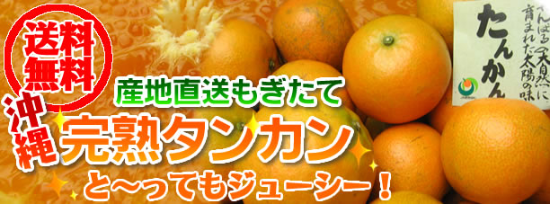 たんかん